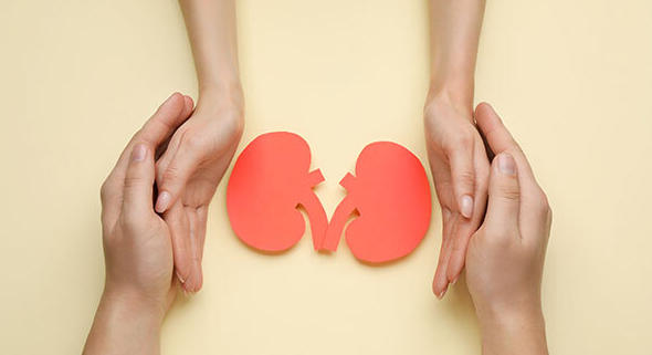 L’Agence de la biomédecine veut faire du don du vivant une priorité