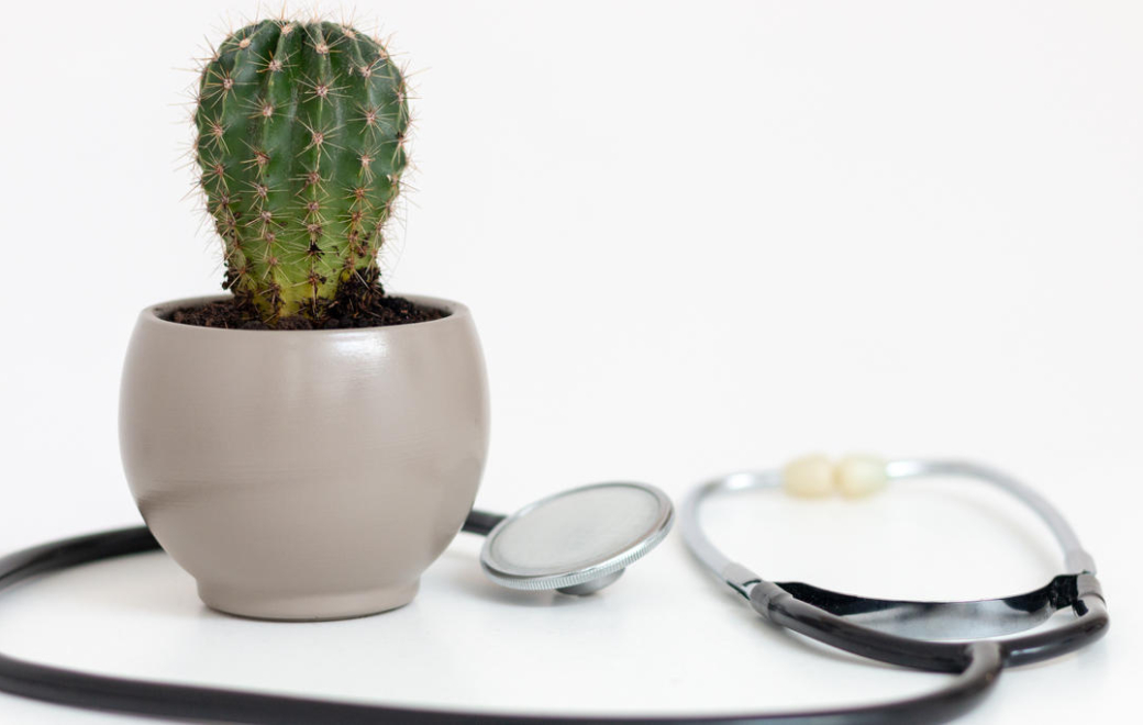 Point de vue : la prévention ne diminue pas les dépenses de santé