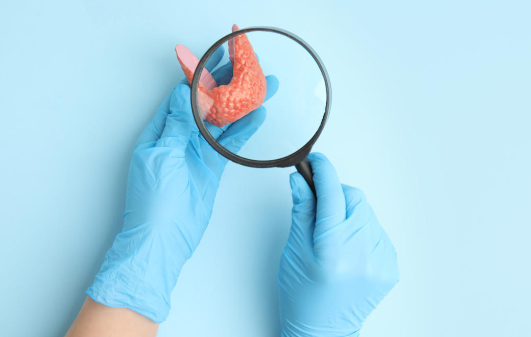 Dysthyroïdies : recommandations pour les sujets âgés et la femme enceinte