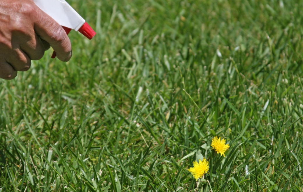 Herbicides : gare aux mélanges maison