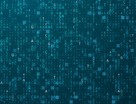 Ruptures de stock, pharmacovigilance : consultez les données !