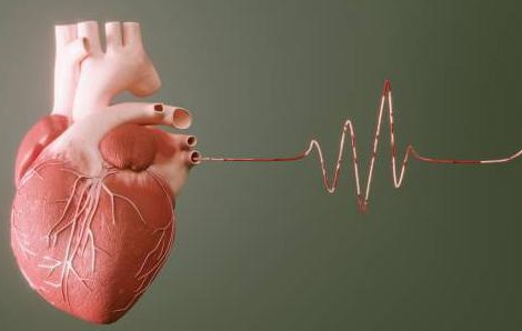 Peptides natriurétiques : dans une analyse de sang, quel est l’intérêt de les doser ?