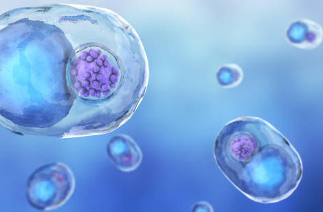 Chlamydiose : guérie en combien de temps ?