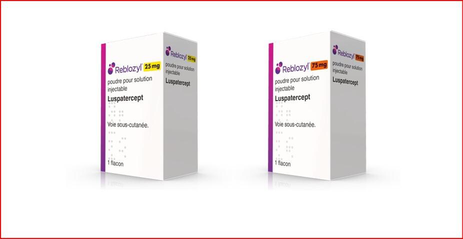 Un jour, un médicament :Reblozyl dans l&rsquo;hémopathie maligne