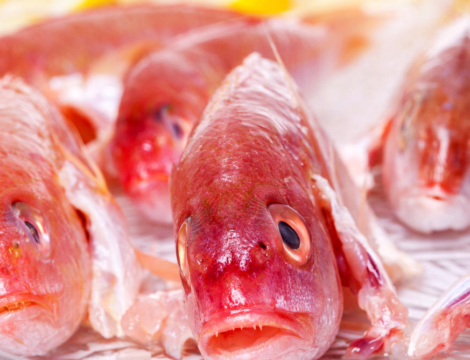 Voyageurs : exotique et toxique ciguatera