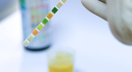 Protocoles de coopération : les biologistes veulent en faire partie