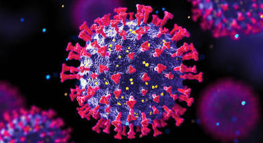 Covid-19 : que peuvent encore faire les pharmaciens ?