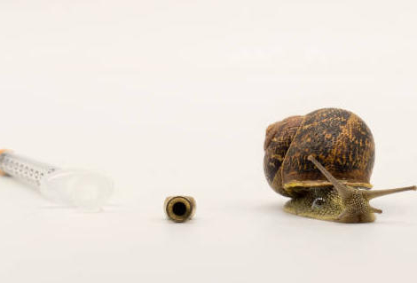 Vaccination contre le papillomavirus : la campagne démarre mollement