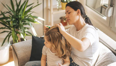 Poux : de l’intérêt de traiter l’environnement… ou pas