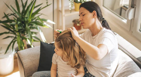 Poux : de l’intérêt de traiter l’environnement… ou pas