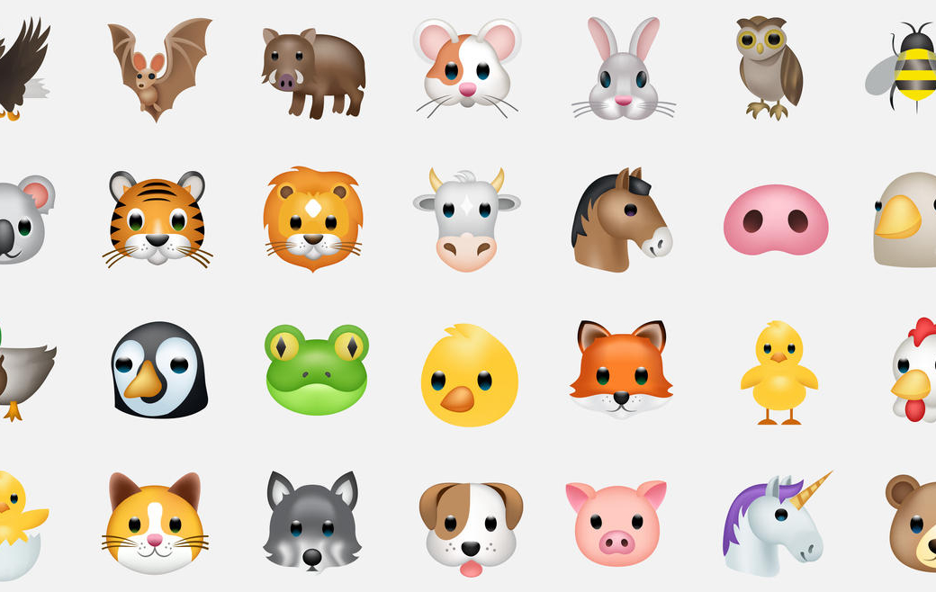 Poux humains : non, il ne faut pas utiliser d’antiparasitaires pour animaux