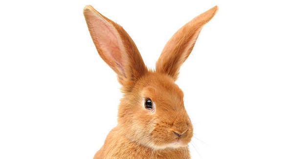 Système de santé : pour ceux qui n&rsquo;en prennent pas toujours soin