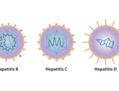 Hépatites : quels traitements ?