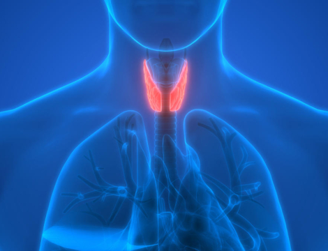 Analogues du GLP-1 : un lien avec le cancer de la thyroïde ?