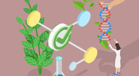 PLFSS 2024 : le gouvernement veut aussi la substitution sur les biosimilaires