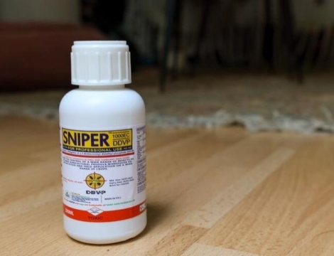 Punaises de lits et cafards : alerte sur des insecticides