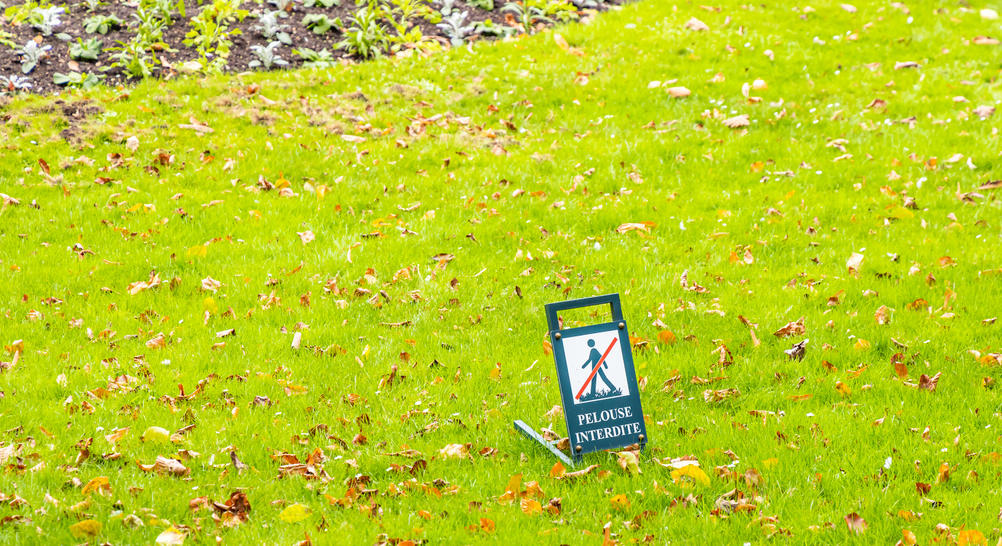 Ministère de la santé : Agnès Firmin Le Bodo ne s’occupera pas des pharmaciens de ville