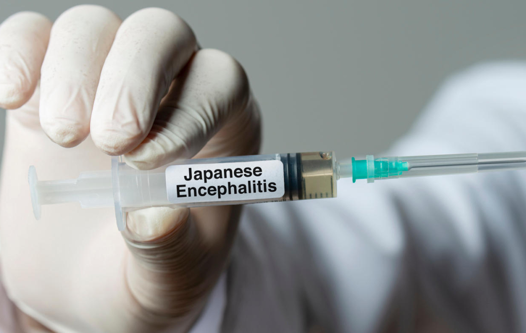 Vaccin Ixiaro : dans quel cas obtenir un dépannage d’urgence ?