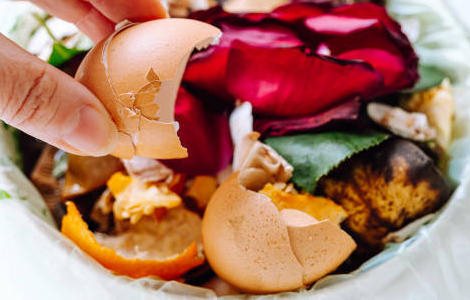 Tri des biodéchets : une obligation légale depuis le 1er janvier