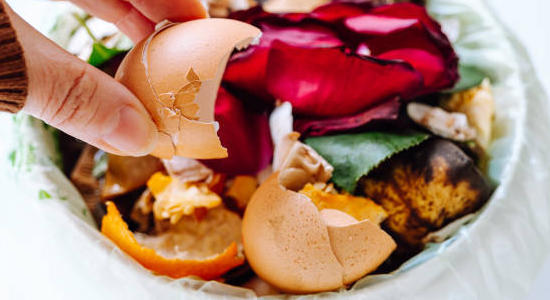 Tri des biodéchets : une obligation légale depuis le 1er janvier