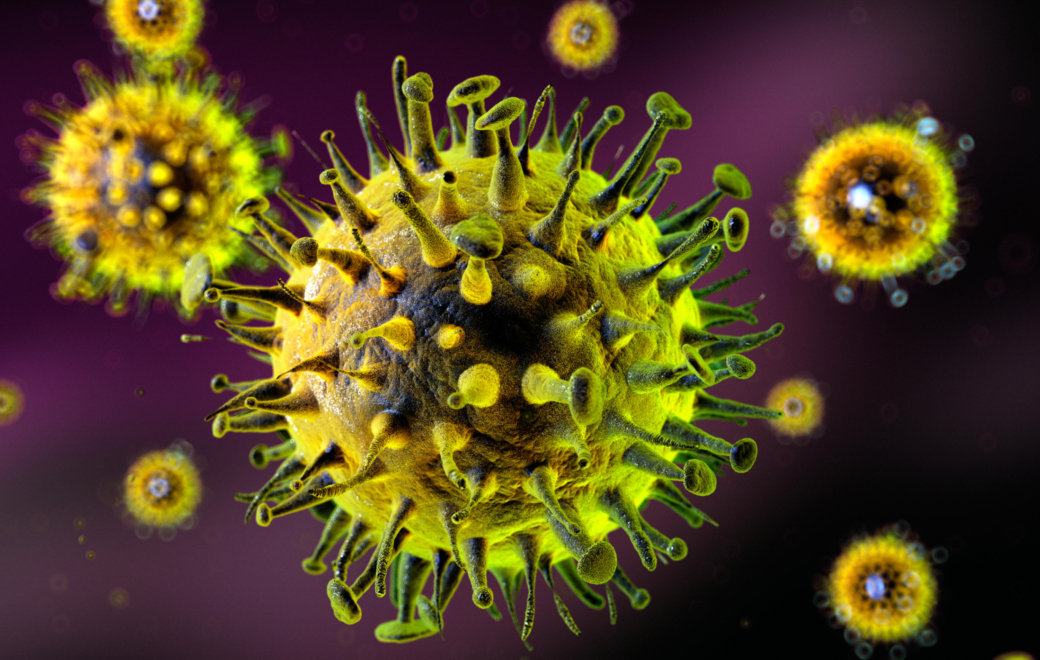 Vaccin antigrippal 2024-2025 : sa composition dévoilée