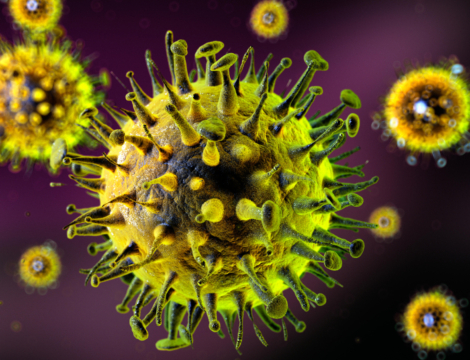 Vaccin antigrippal 2024-2025 : sa composition dévoilée