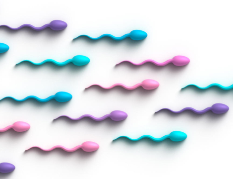 Contraception masculine : la vasectomie a le vent en poupe