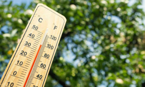 Canicule : promouvoir la liste des médicaments à risque auprés des professionnels de santé