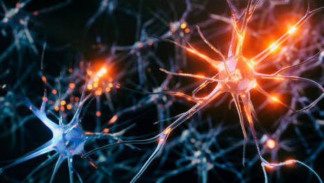 Maladie de Parkinson : aux pharmaciens de promouvoir le mouvement