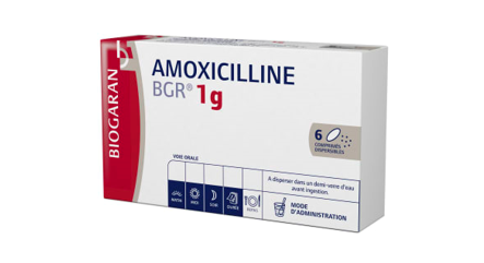 Amoxicilline : le retour des TFR