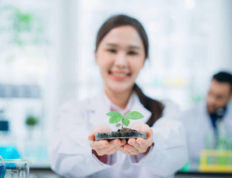 Ecoresponsabilité : se former en ligne pour mieux agir