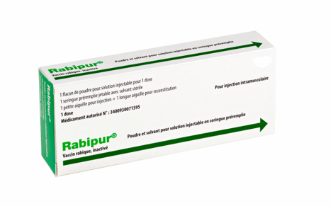 Rabipur : un dépannage possible à l’officine