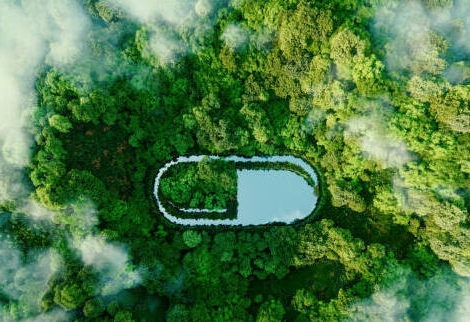 Ecoresponsabilité : idées inspirantes pour mieux dispenser