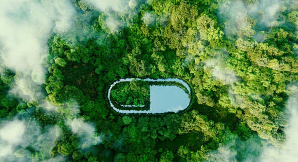 Ecoresponsabilité : idées inspirantes pour mieux dispenser