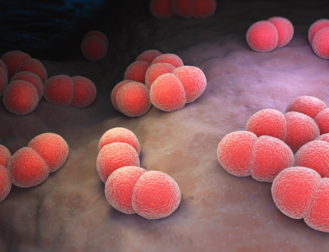 Méningocoques : Menquadfi et Nimenrix sont-ils interchangeables ?