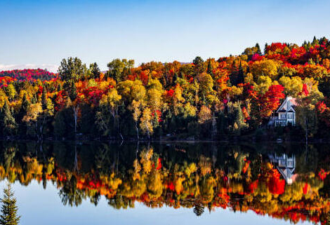 Le Québec, un modèle inspirant pour les pharmaciens