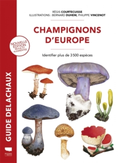 Champignons d’Europe