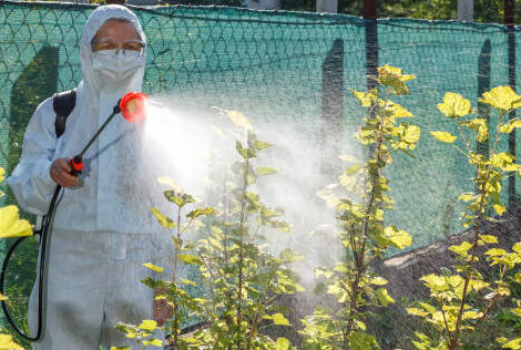 Dengue et chikungunya : 3 cas autochtones détectés