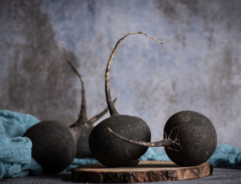 Radis noir : des effets dépuratifs et respiratoires à connaître