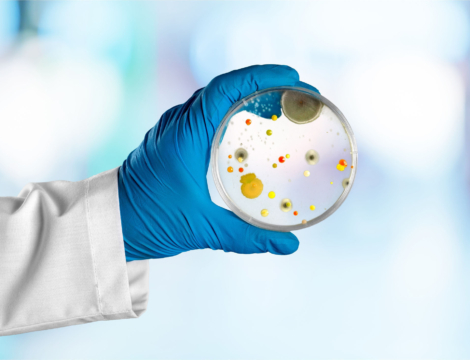 Les probiotiques pourraient-ils aider à limiter les phénomènes d’antibiorésistance ?