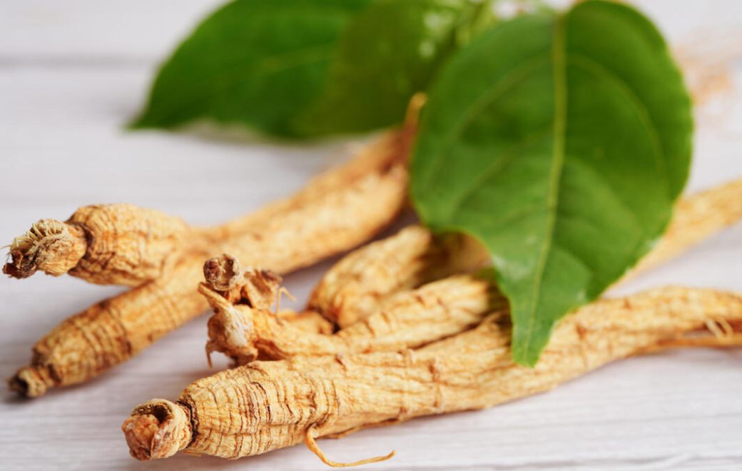 Anti-fatigue, immunostimulant… pourquoi conseiller le ginseng dès l&rsquo;automne