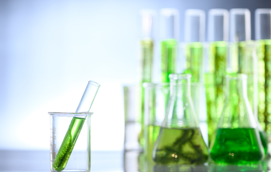 Cosmétique marine : vague d’enthousiasme autour des algues