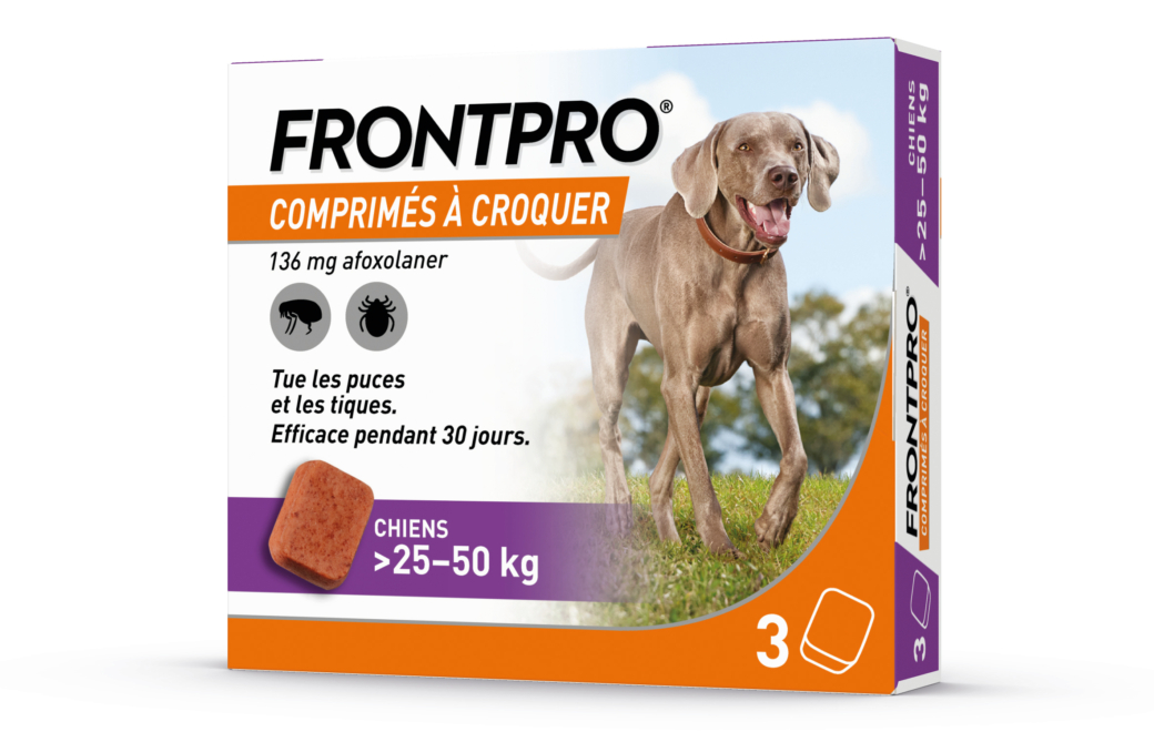 Frontpro, antiparasitaire canin par voie orale