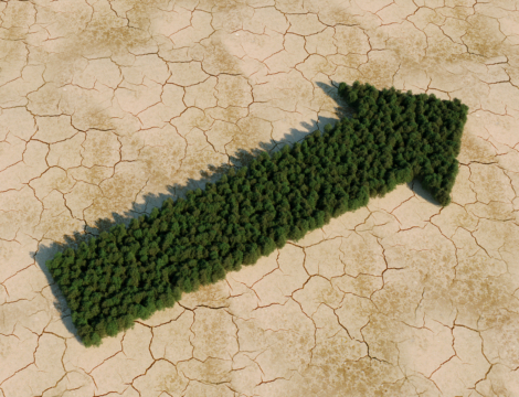 Dépistage du diabète de type 2 : Sudoscan à l’assaut du Nord