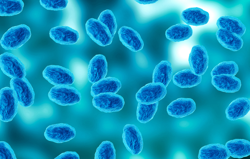 Coqueluche : contexte, traitement et prévention