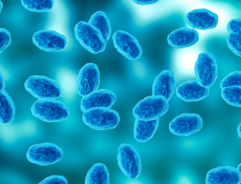 Coqueluche : contexte, traitement et prévention