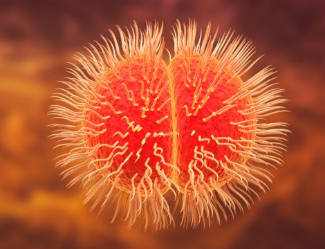 Alerte aux méningites : vérifiez le statut vaccinal des patients