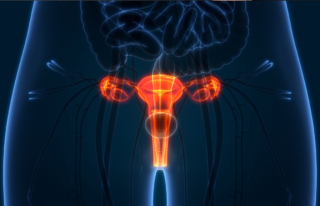 Contraception au quotidien