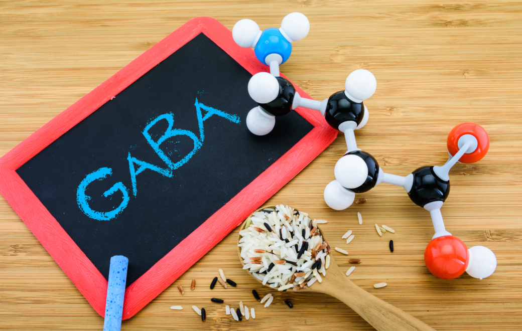Le GABA : quel intérêt dans les compléments alimentaires ?