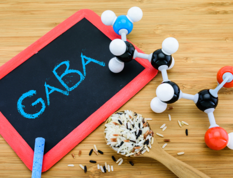 Le GABA : quel intérêt dans les compléments alimentaires ?